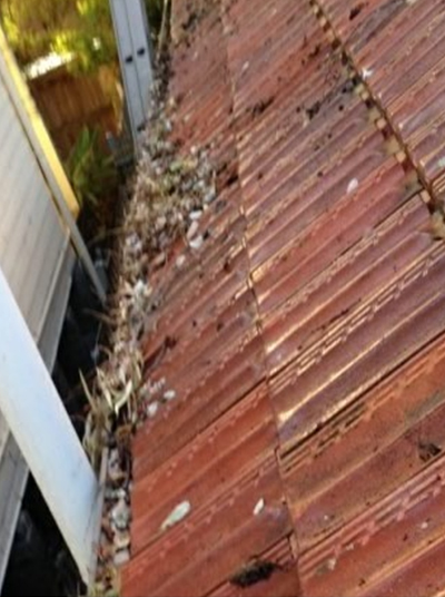 Home Gutter Cleaning Before